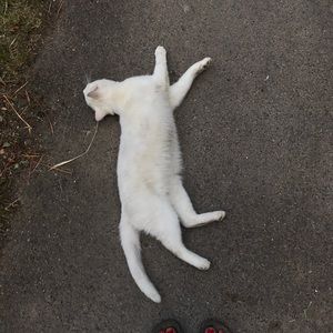 Meet your Posher, Eleanor